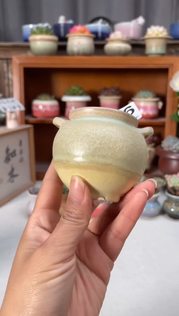 瓷片016知木小芳花盆