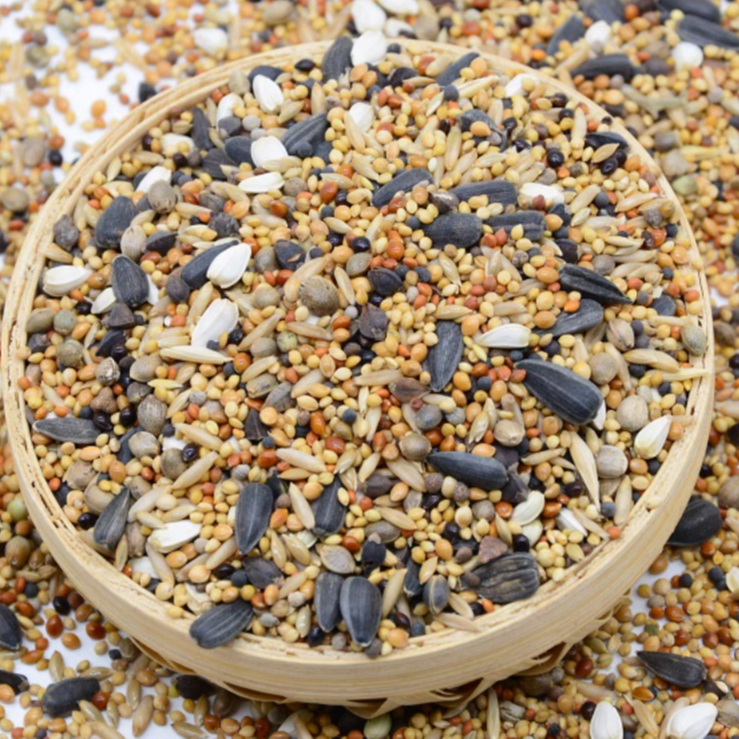 牡丹鹦鹉专用混合粮