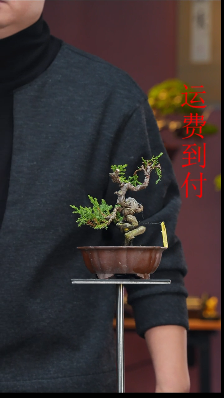 无花朵会****?17660