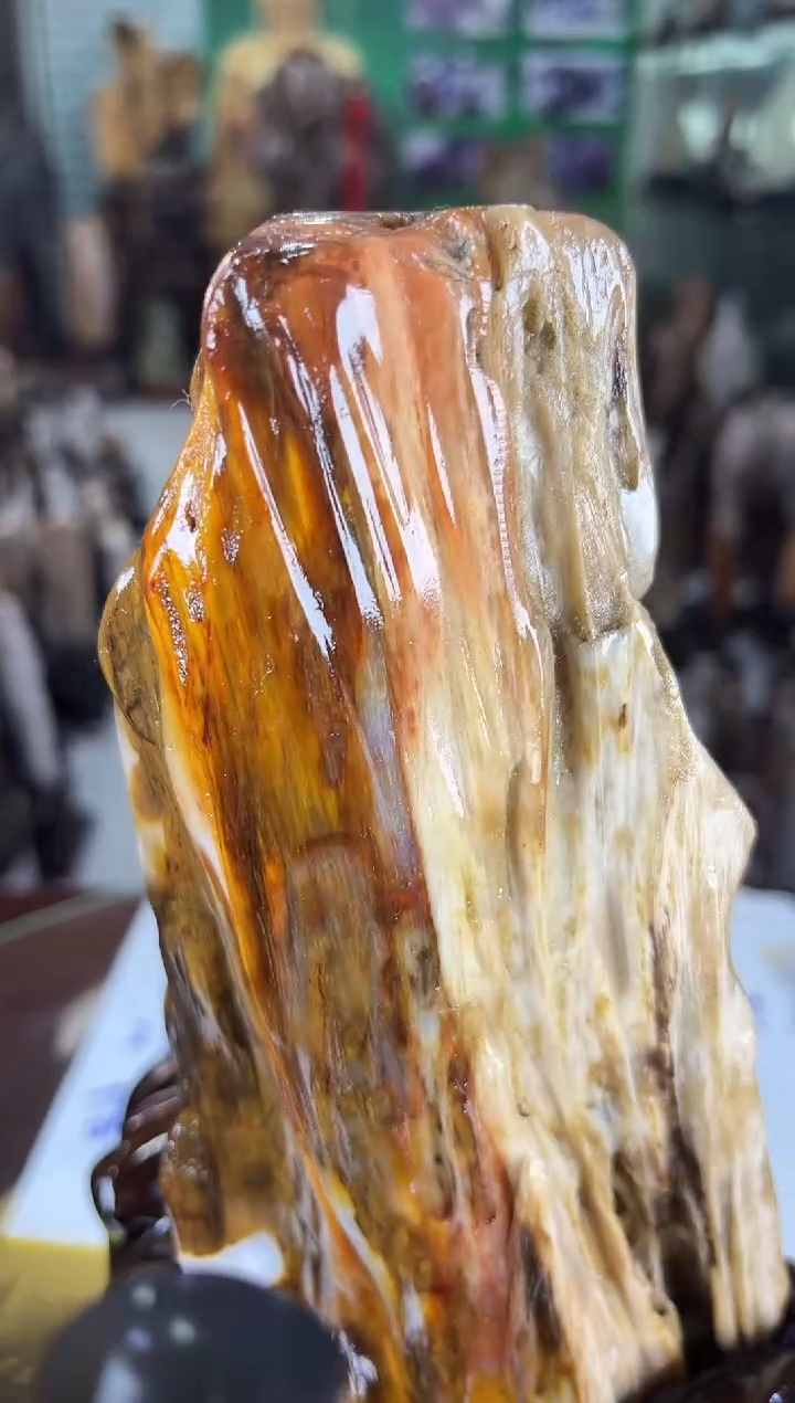 未镶嵌珠宝奇石硅化玉缅甸天然树化玉精品摆件
