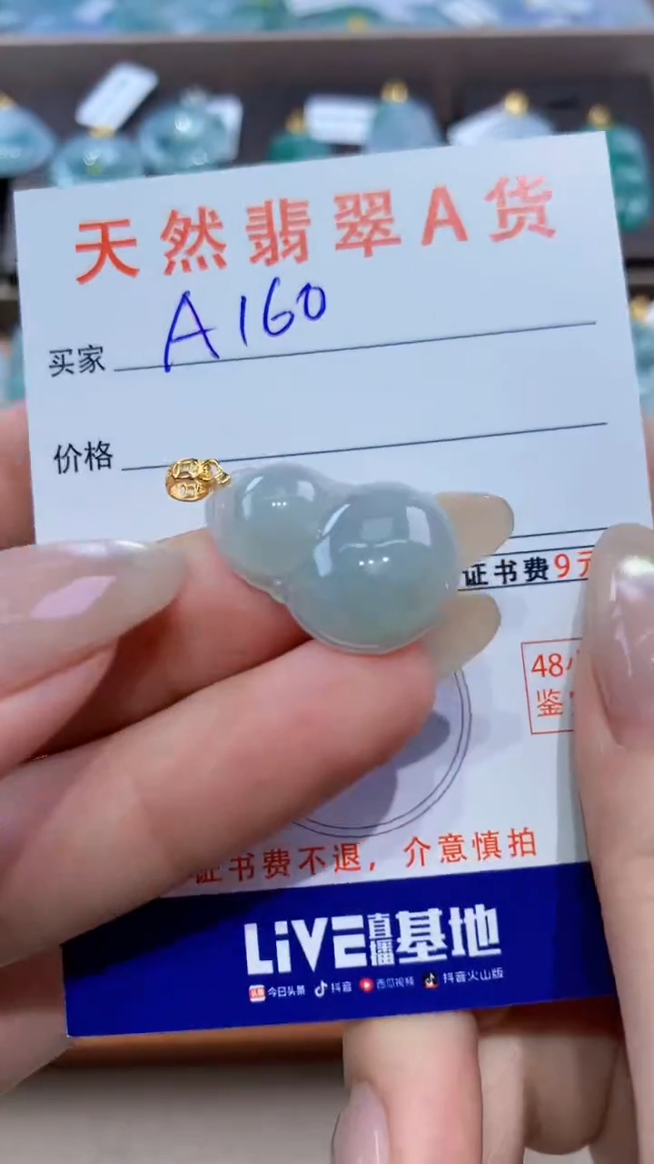 颈饰未镶嵌翡翠天然翡翠A货挂件