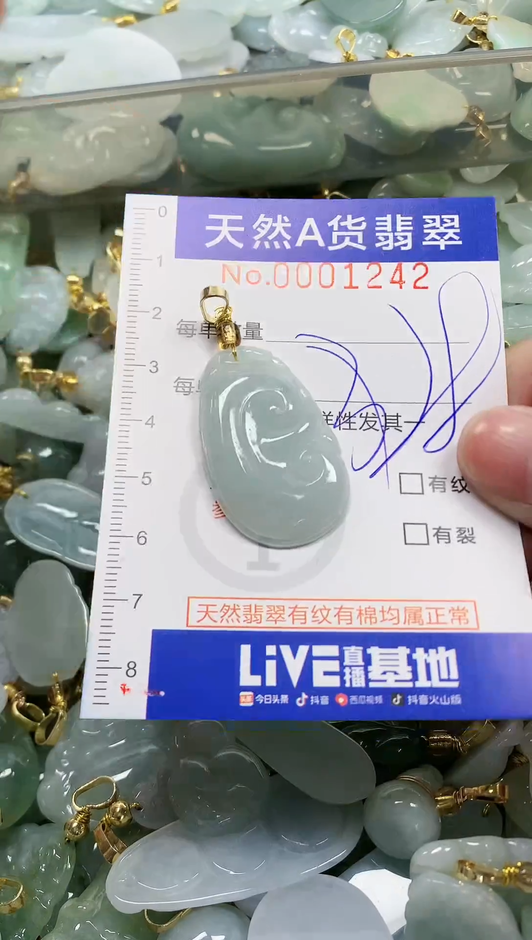 颈饰未镶嵌翡翠纯天然a货翡翠