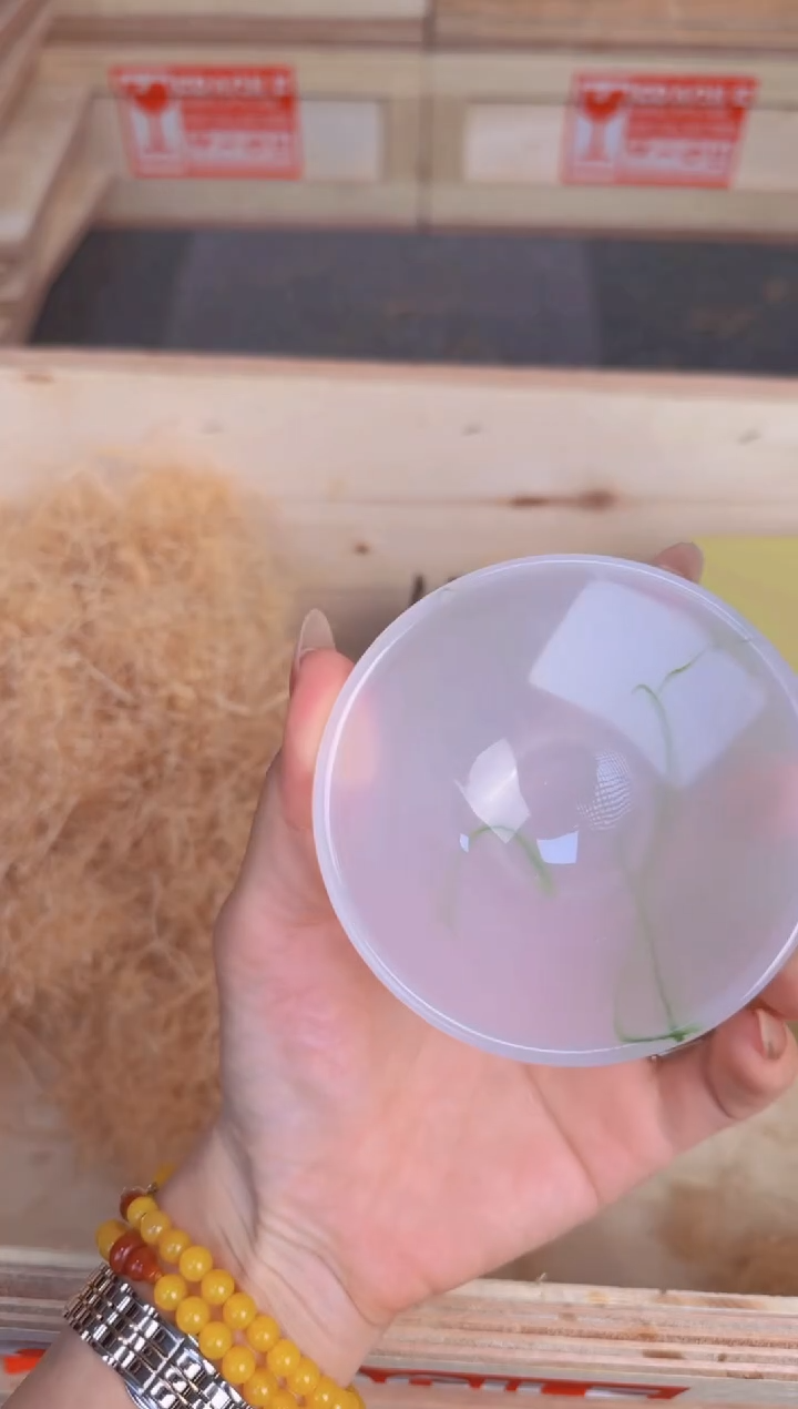 @@@@@@@@@@@@@@@@@@@3522