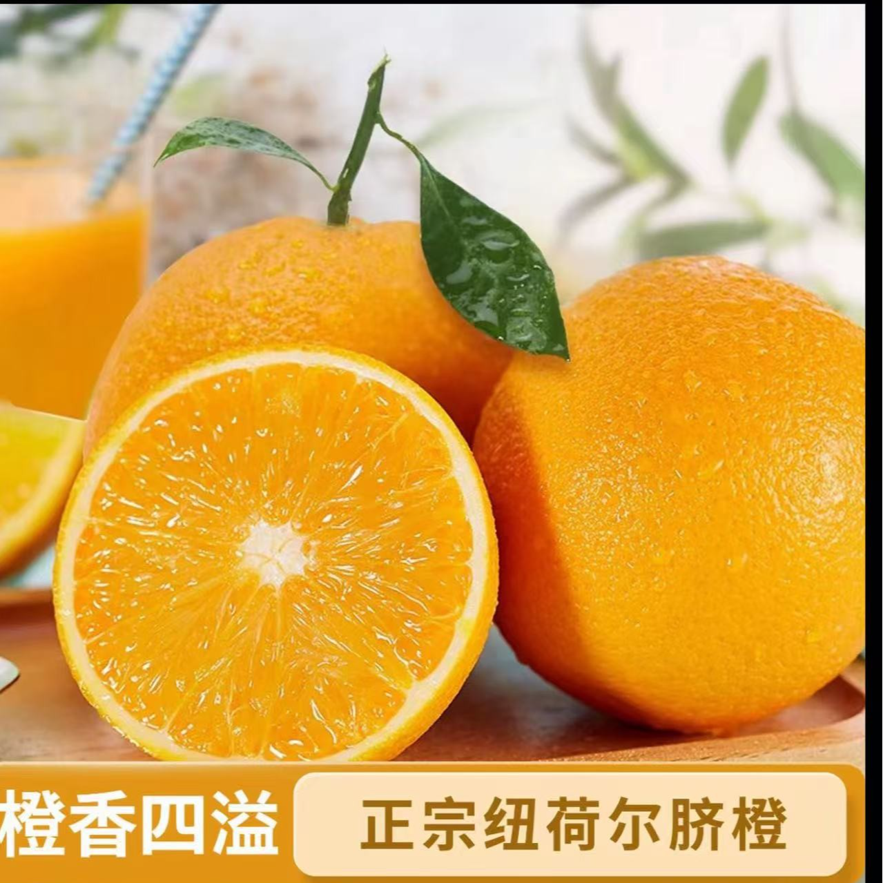 高山纽荷尔脐橙现摘现发新鲜采摘新鲜水果产地直发1