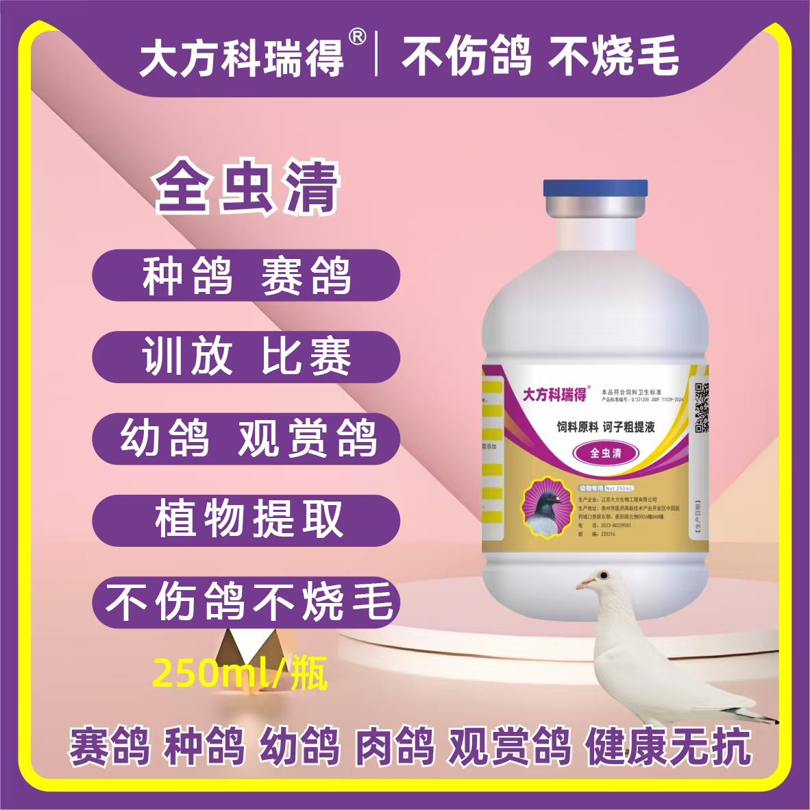 大方科瑞得大方科瑞得赛鸽种鸽幼鸽观赏鸽可用