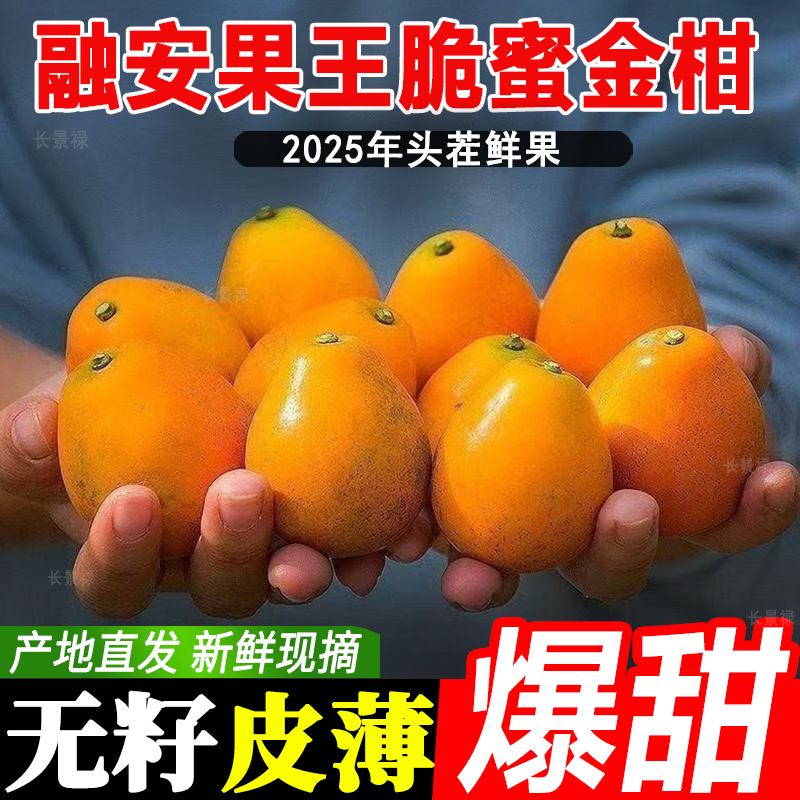 【顺丰】【东三及偏冷地区专拍】广西融安金桔第三代脆蜜金柑爆甜多汁