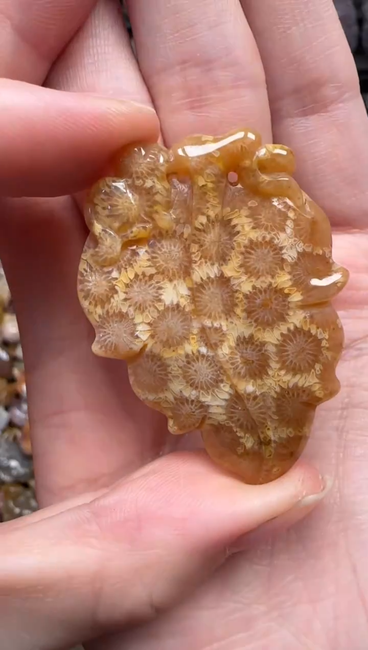 颈饰未镶嵌硅化珊瑚（珊瑚玉）402