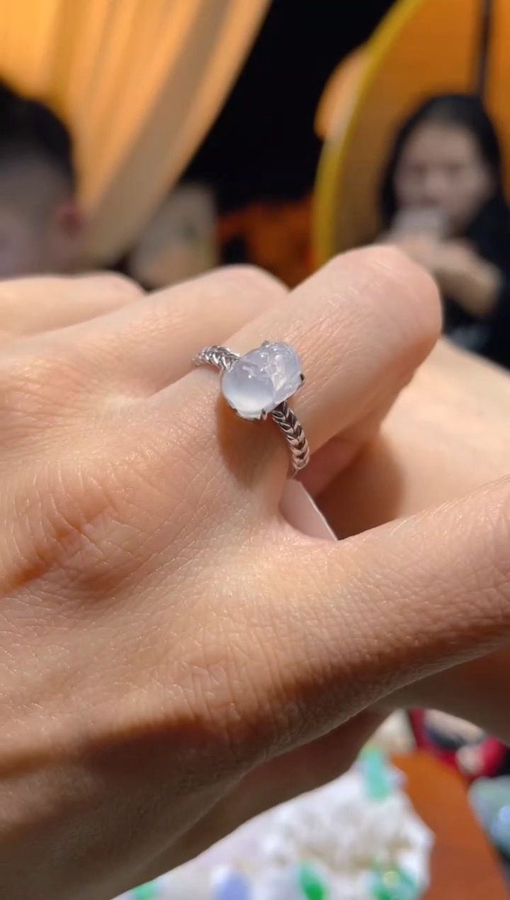 【闪购商品】翡翠颈饰未镶嵌假一赔三