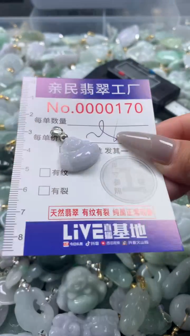 颈饰未镶嵌翡翠170