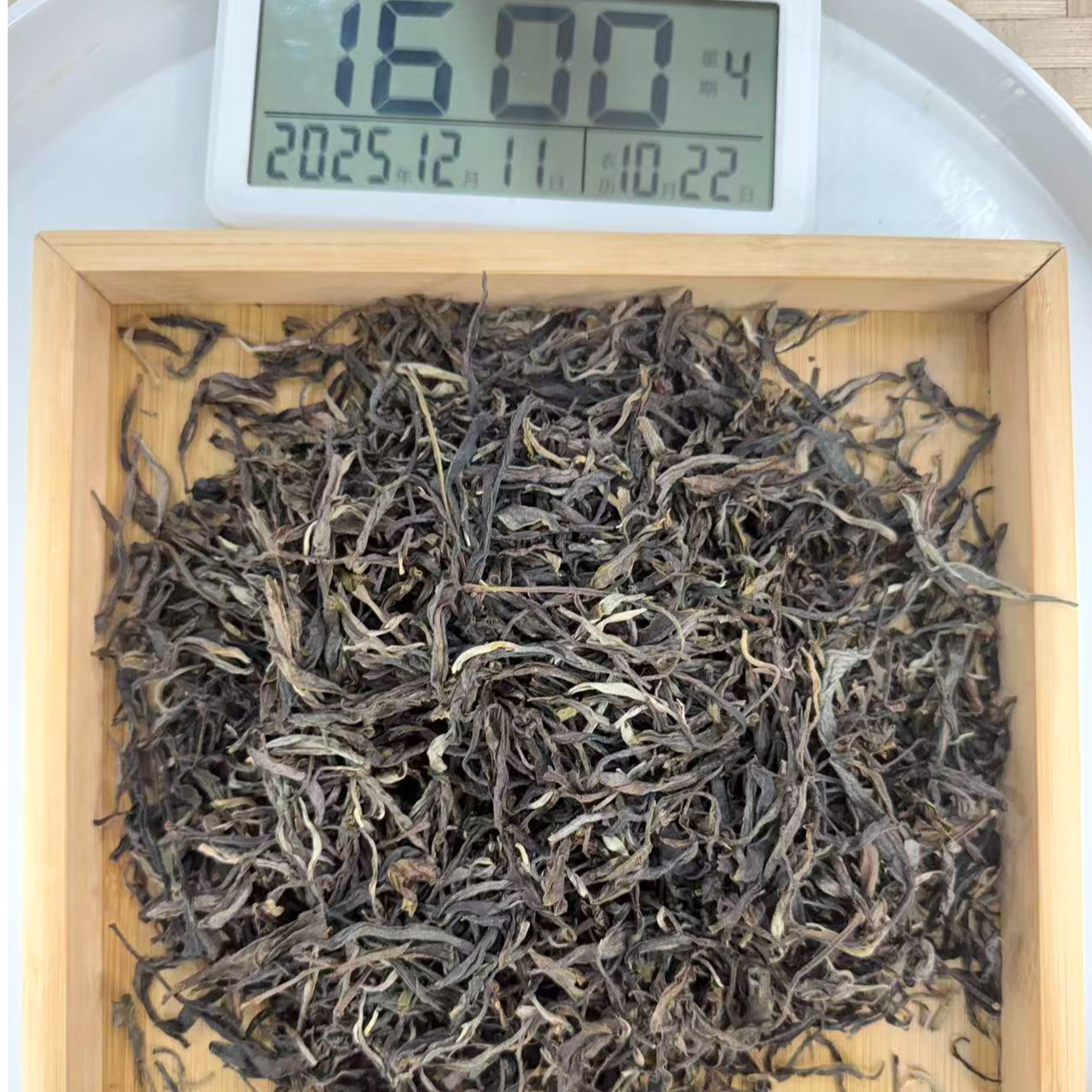 司丽严选-2570号2025年倚邦细叶皇后普洱茶生茶散茶12-11