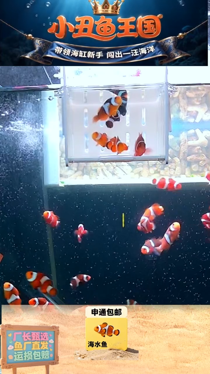 海水鱼瑕疵五条3.5-4