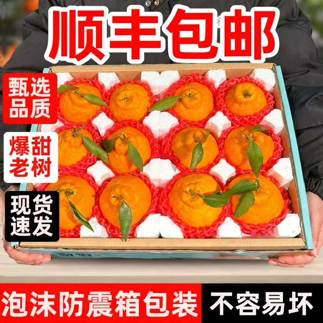 【顺丰包邮】正宗四川不知火丑橘新鲜应季水果新鲜现摘脆甜多汁