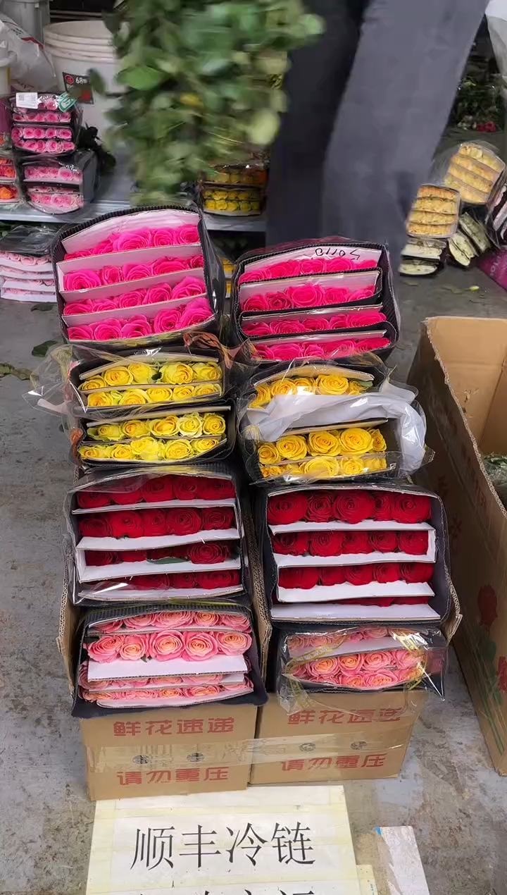 朱小姐20枝+高原红20枝+黄玫瑰20枝+佛洛依德20枝