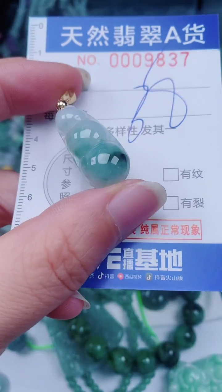 颈饰未镶嵌翡翠00009837