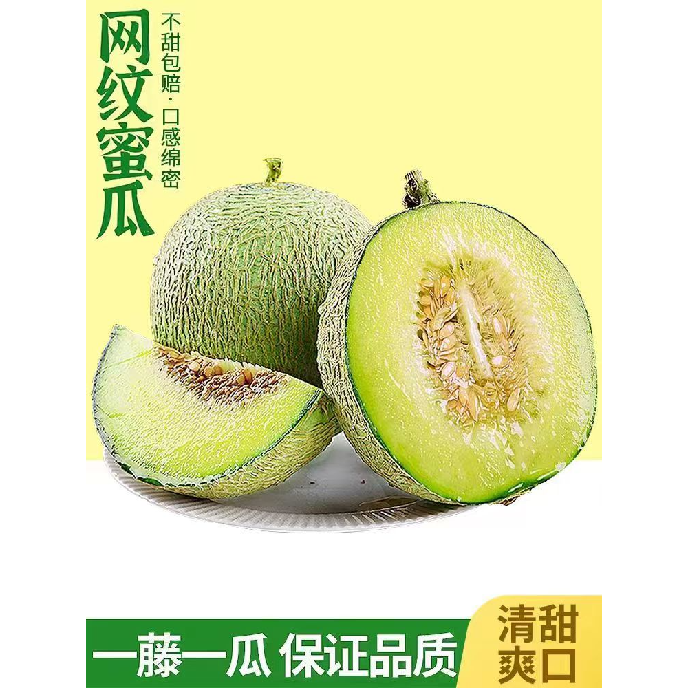 顺丰包邮【乌市直发】海南牛3蜜恋网纹瓜