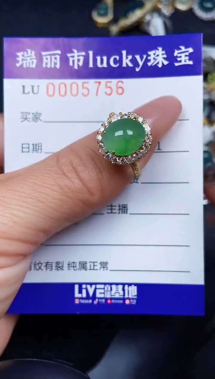 翡翠银S925镶嵌颈饰5756