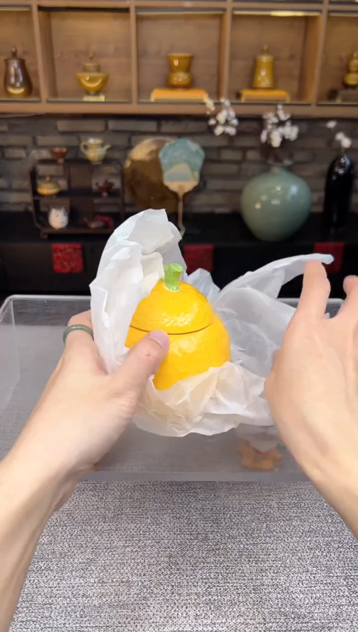 【闪购商品】无尽藏 专属福利单 VVV 