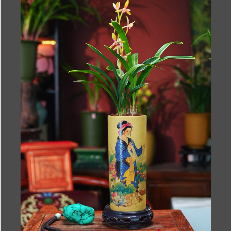 建兰 带花苞【空谷禅月】浓香型矮种金边高级兰花盆景室内好养