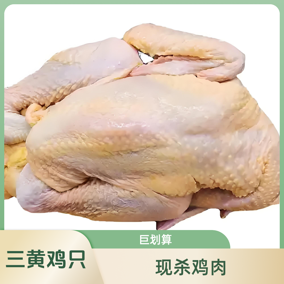 三黄公鸡1只 约2900g