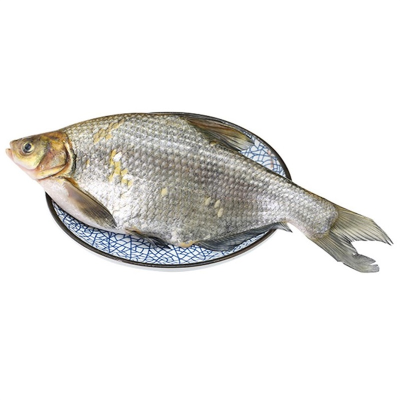 【散】鳊鱼 约500-600g/份