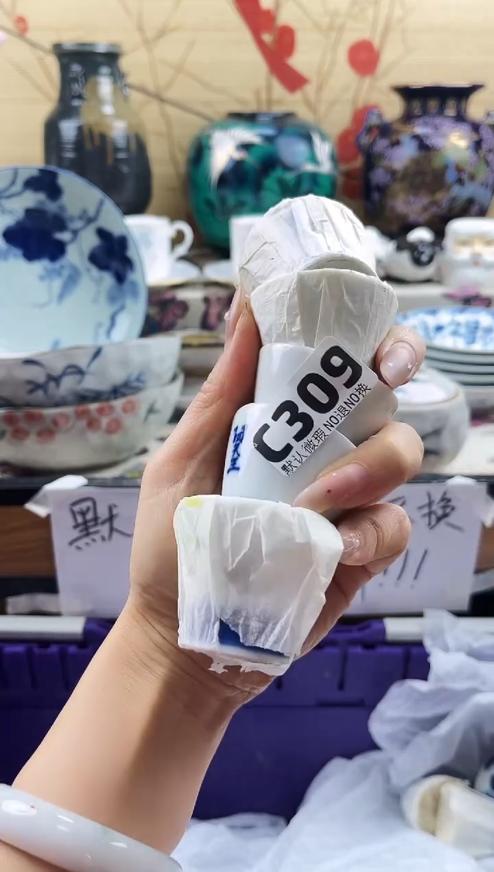 陈****游==============c309