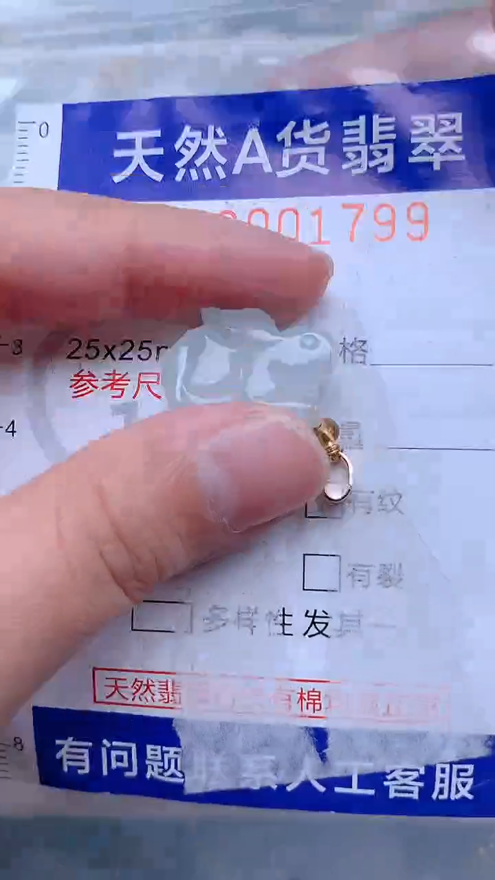 翡翠未镶嵌吊坠(不含链)1