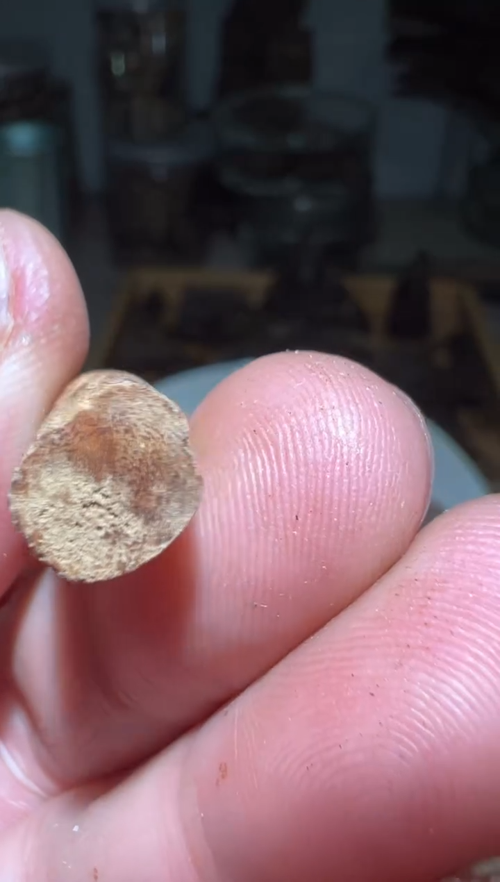 【闪购商品】沉香沉香碎屑达拉干2.7克