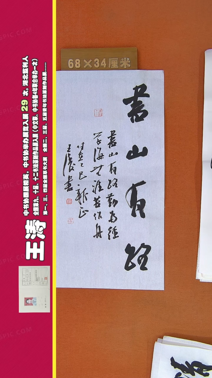 【闪购商品】书法160王涛书法作品