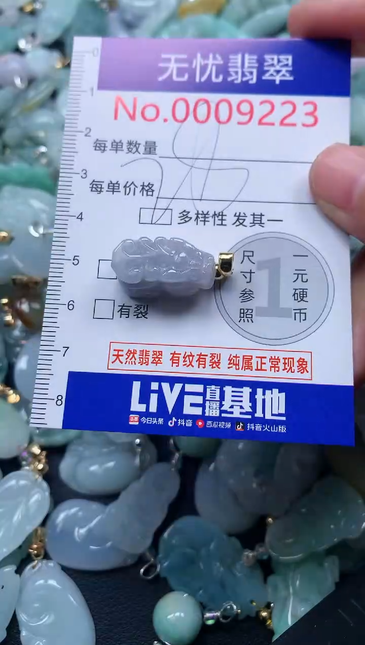 颈饰未镶嵌翡翠9223