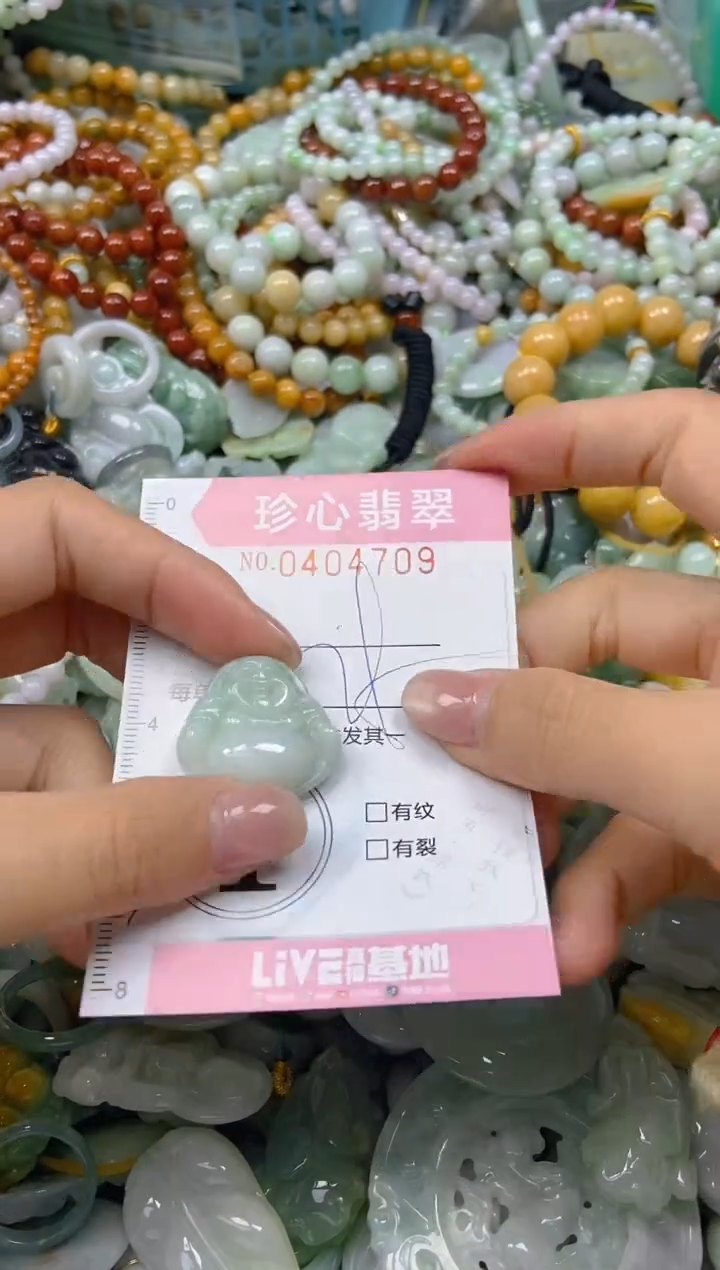 颈饰未镶嵌翡翠闪购0404709