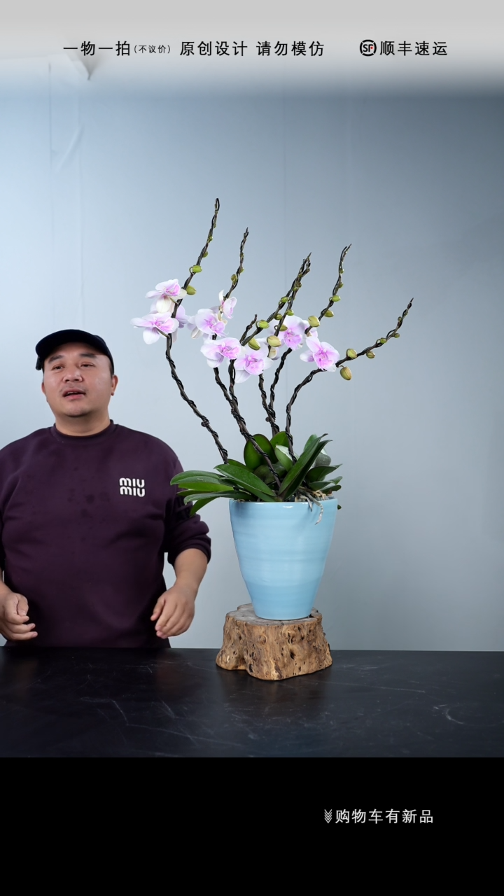 【闪购商品】053号链接【一物一拍】艺术盆景