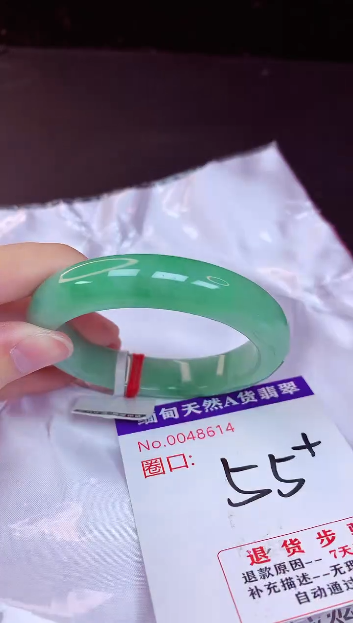 未镶嵌手镯翡翠55