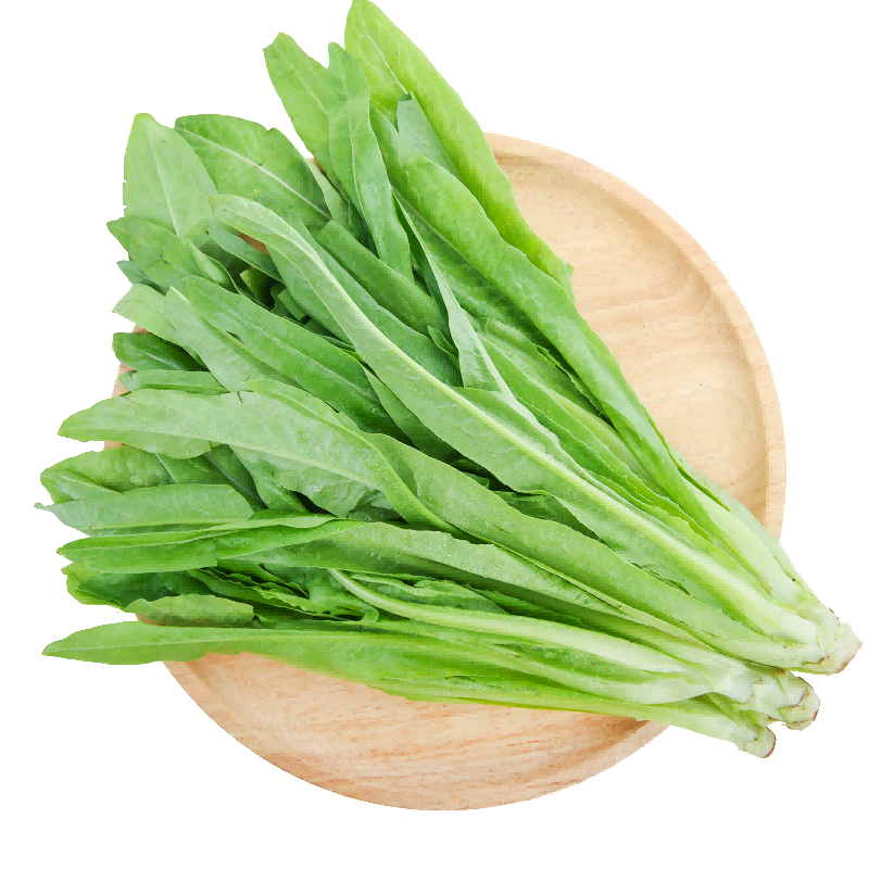 【新鲜采摘 轻食主义】油麦 约350-400g/份