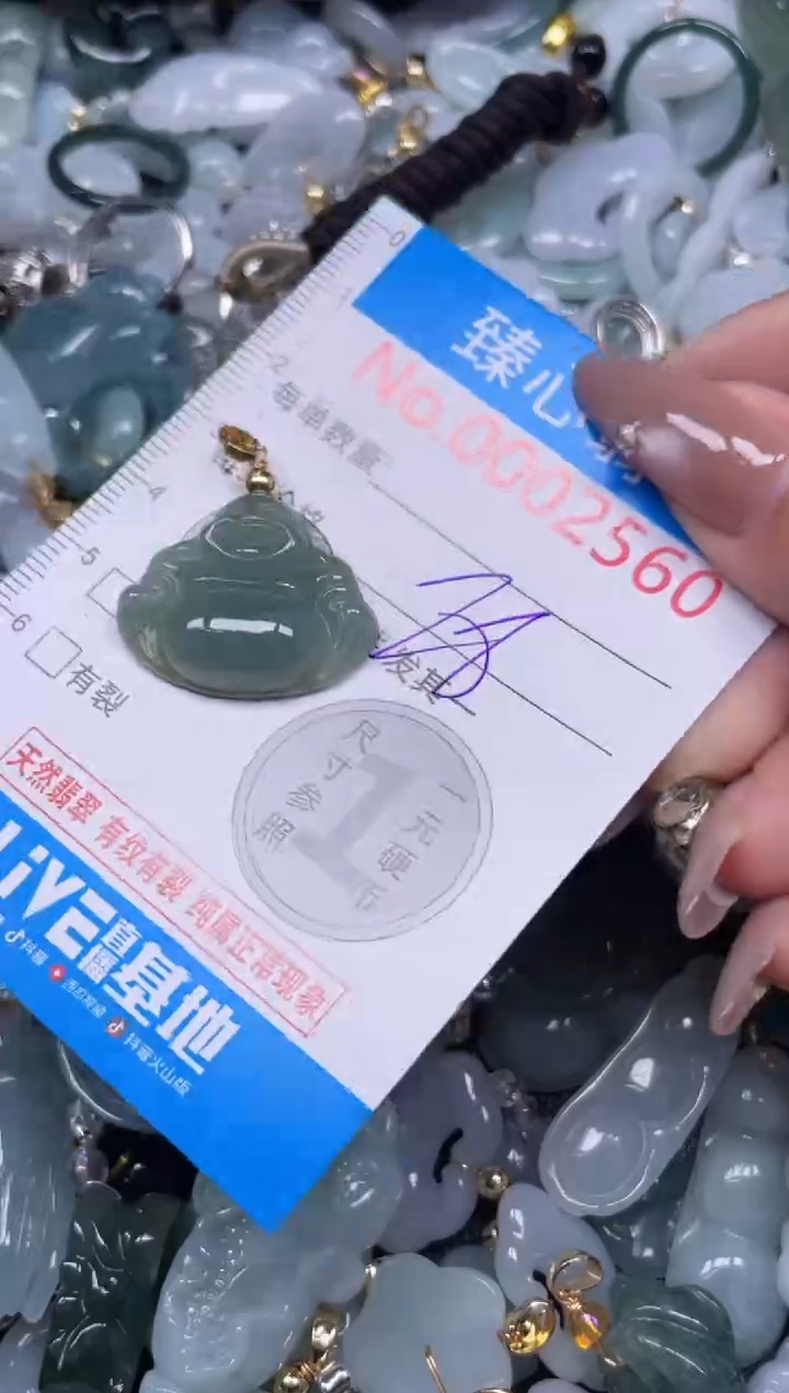 颈饰未镶嵌翡翠2560