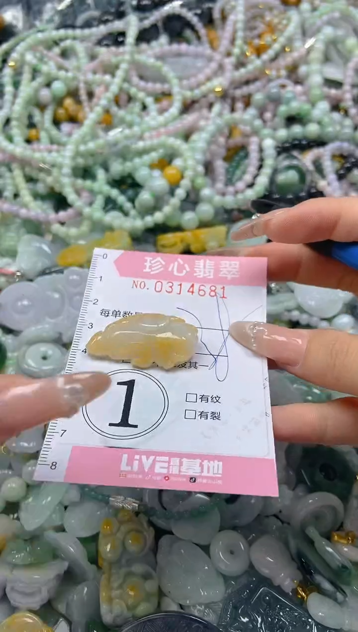 翡翠未镶嵌颈饰闪购0314681