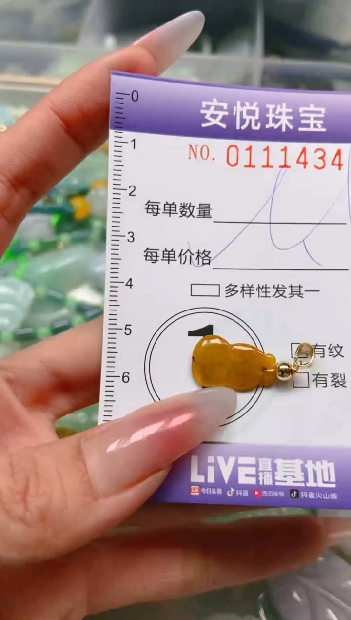 【闪购商品】翡翠颈饰未镶嵌闪购0111434