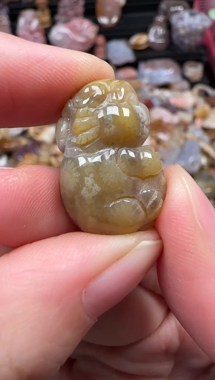 颈饰未镶嵌硅化珊瑚（珊瑚玉）320