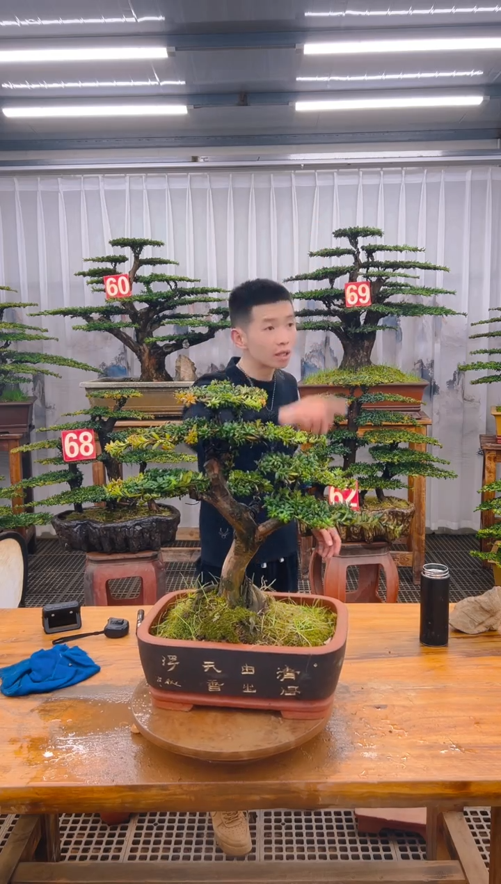 【闪购商品】紫砂精品盆景直播间一物一拍