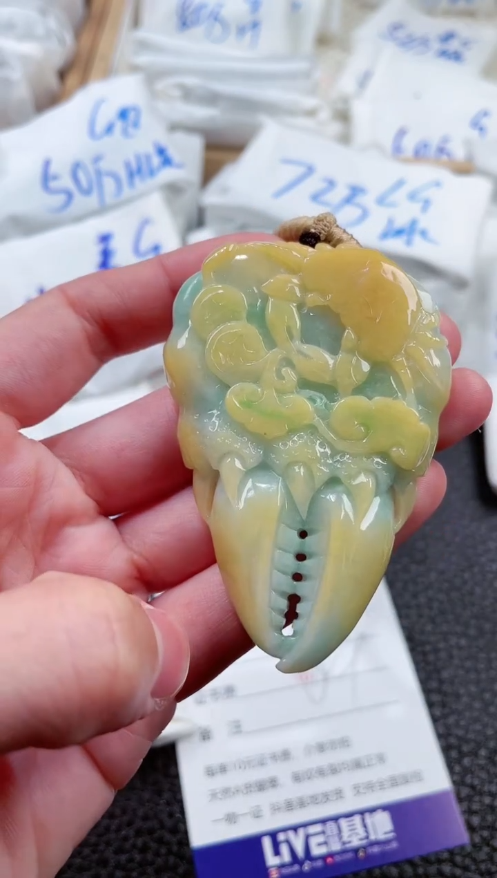 【闪购商品】翡翠颈饰未镶嵌00000911