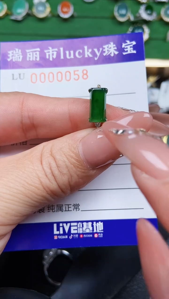 【闪购商品】翡翠颈饰银S925镶嵌0058