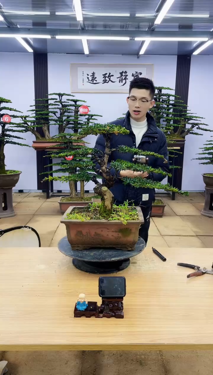 【闪购商品】00000000000000