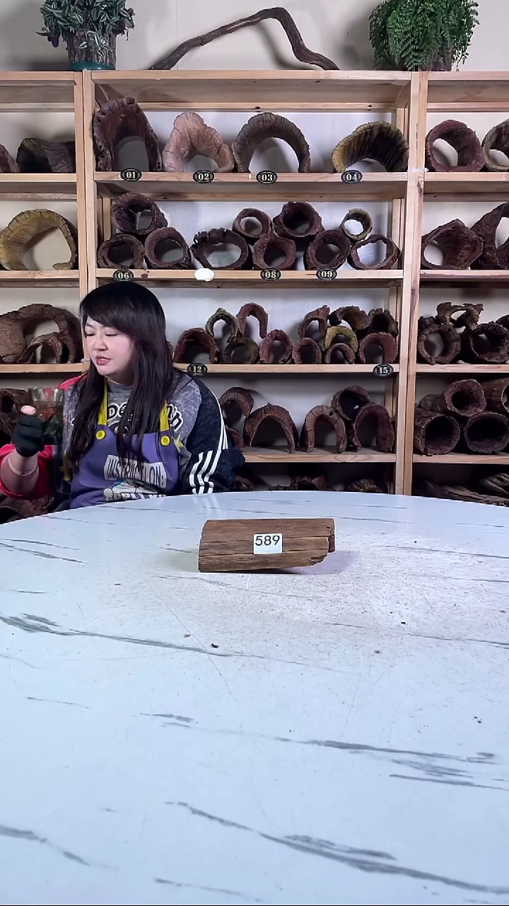 C****）云南紫柚木造景沉木589