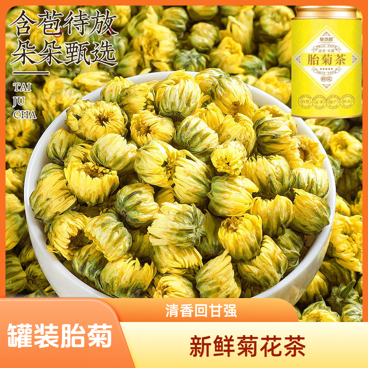 菊花茶2025新花胎菊王花茶清香回甘花头饱满耐泡新鲜采摘罐装
