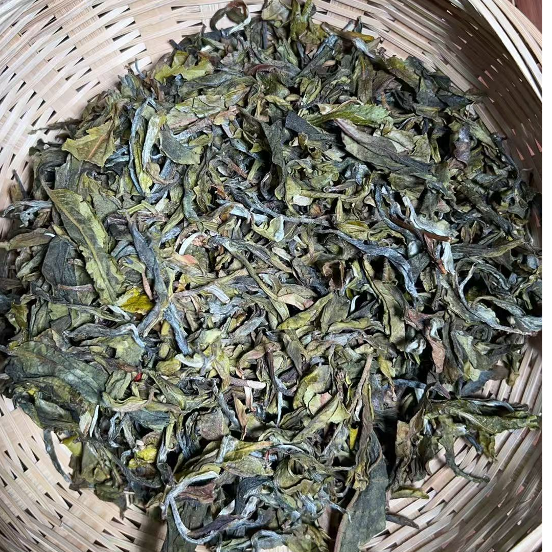 MK1698号 2025年{春}困鹿山{园内}古树黄金叶晒青茶散茶6-19日