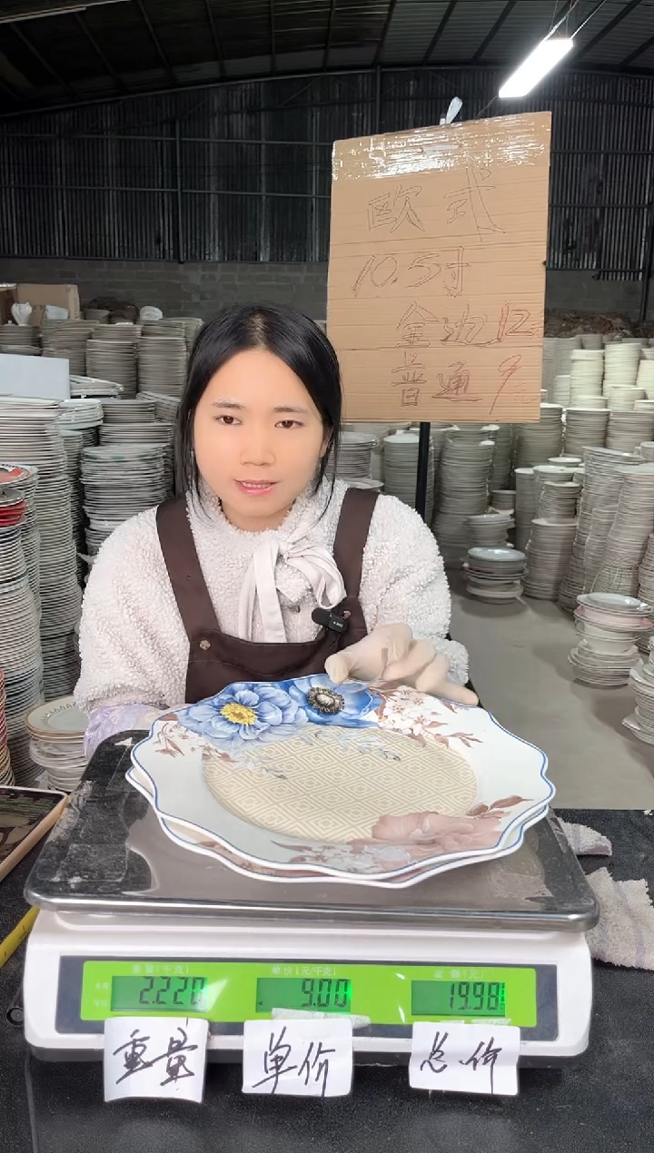 【闪购商品】搪瓷Z427  10.5英寸  2个