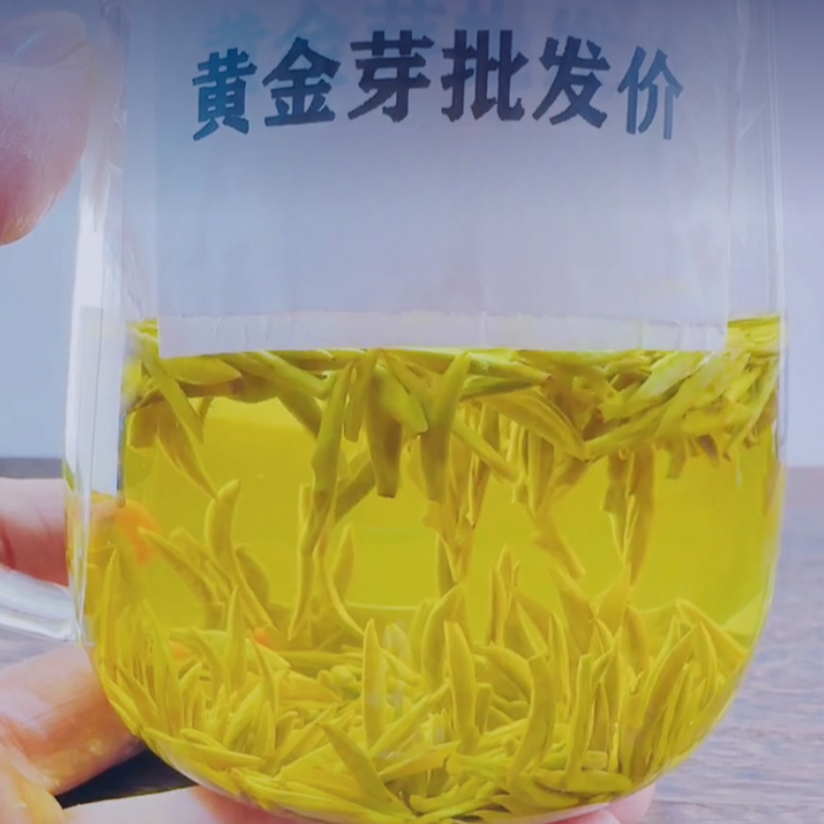 2025高山嫩芽明前头采黄金芽茶浓香型兰花香一芽一叶自己喝