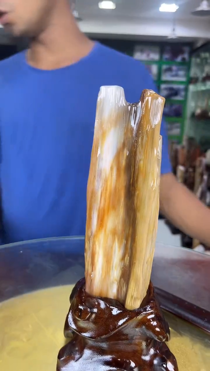 未镶嵌珠宝奇石硅化玉缅甸天然树化玉摆件 