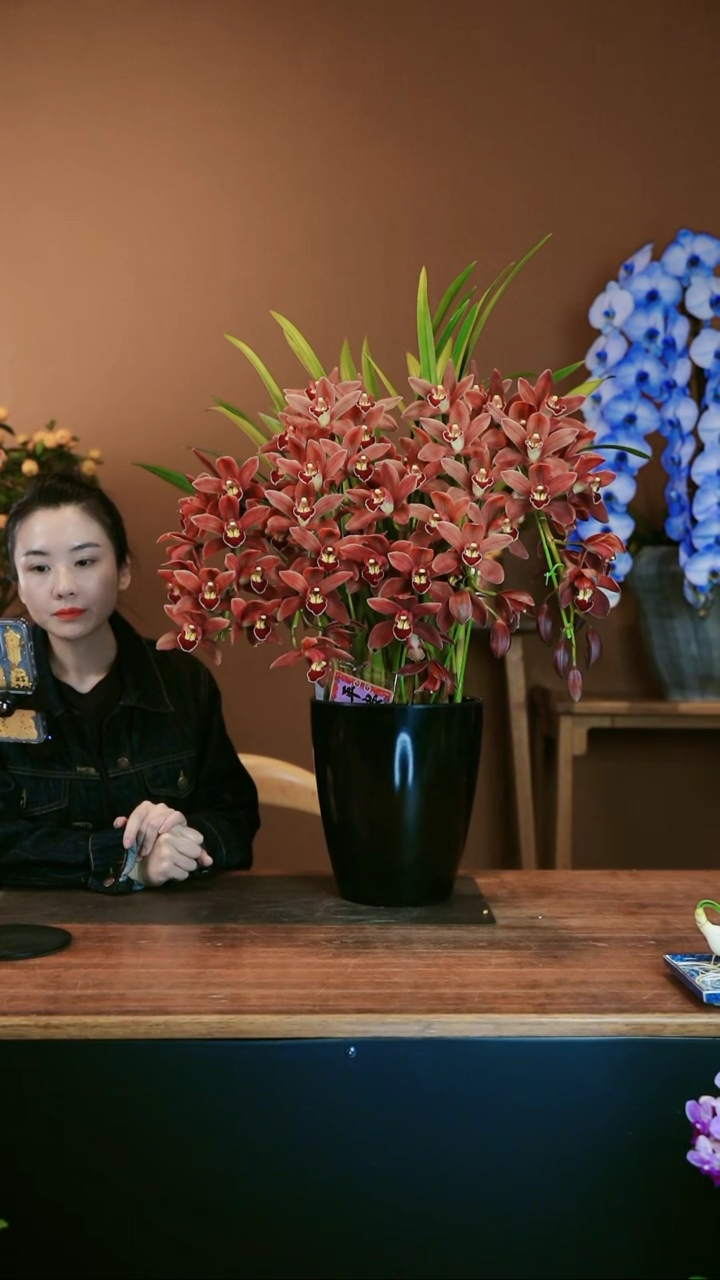 【闪购商品】盆景朱古力 礼盒