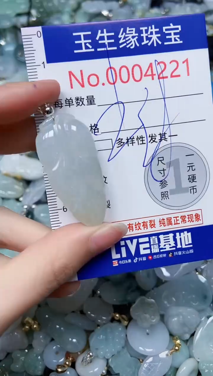 【闪购商品】翡翠颈饰未镶嵌闪购00004221