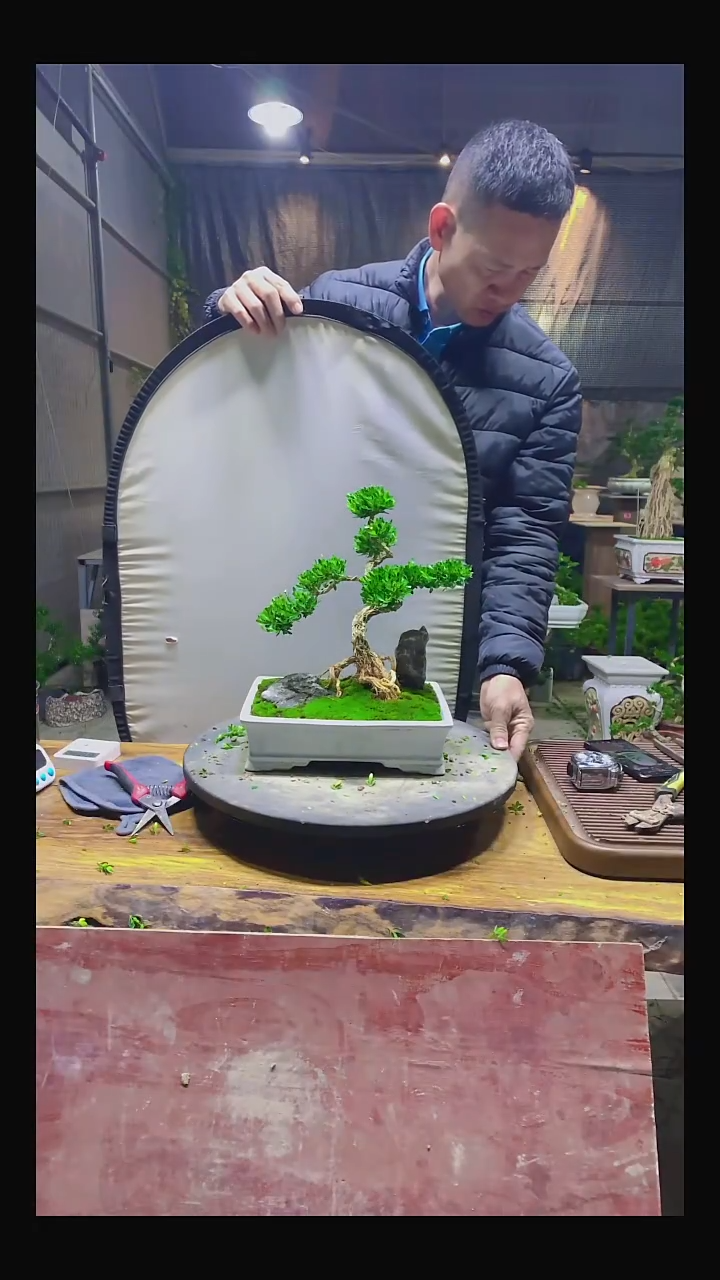 完全开放高**测11111111111111